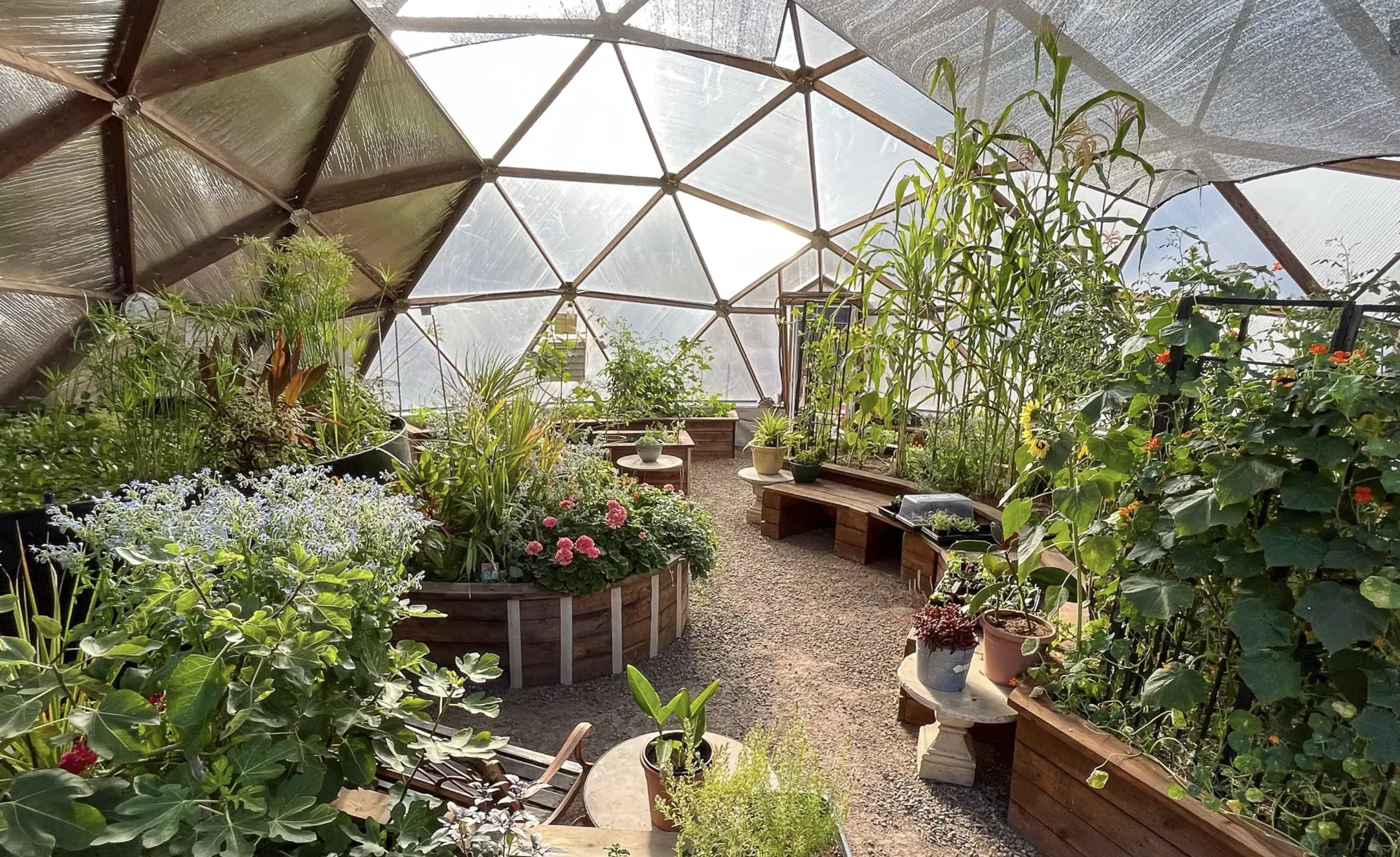 grow dome interior